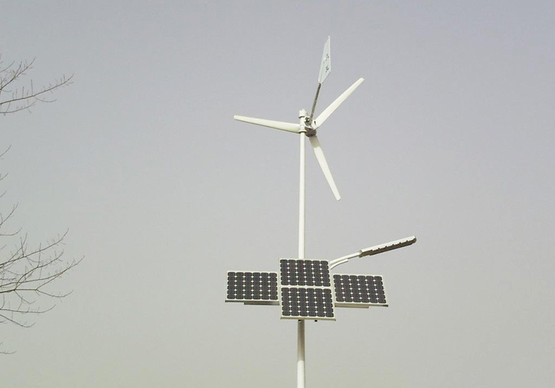 5ff40a6598241.jpg 01.jpg