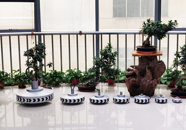 613717ef8025a.jpg 01.jpg