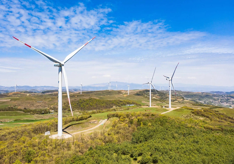 6279d63bb11e3.jpg 01.jpg